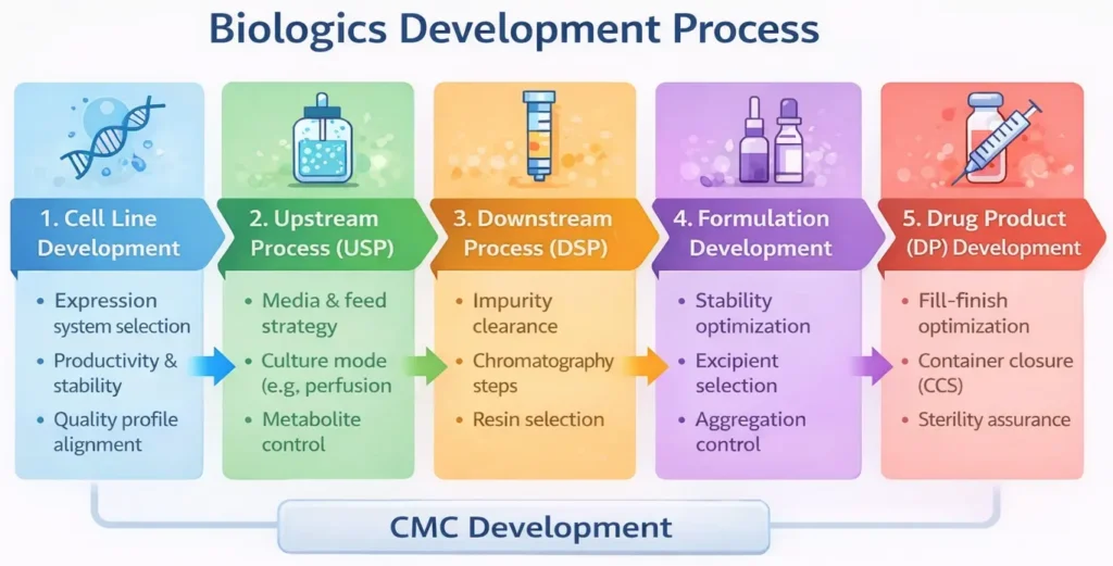 biologics upstream development Images High Quality... Biologics Development Process: From Cell Line to Drug Product