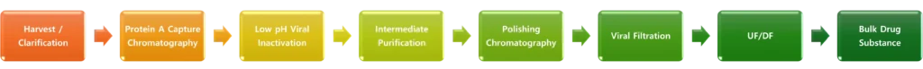 Downstream processing DSP process flow diagram biologics